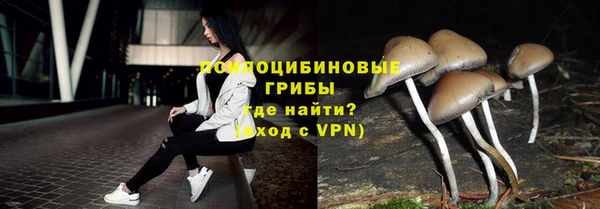 мдпв Дмитровск