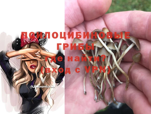 альфа пвп Дмитров