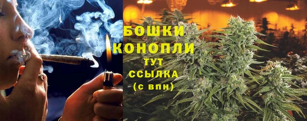 мдпв Дмитровск