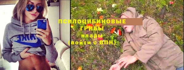 ECSTASY Дмитриев