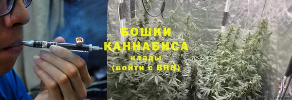 ECSTASY Дмитриев