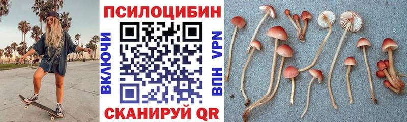 Купить закладки  Тотьма  Псилоцибиновые грибы Psilocybe 
